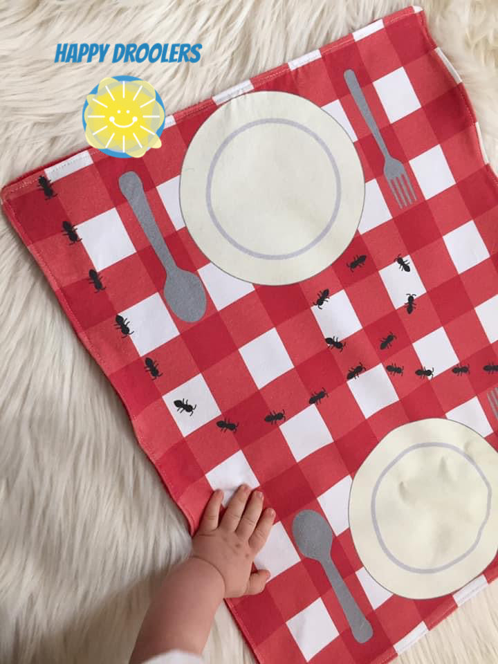 Picnic Play Mat